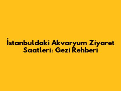İstanbul'daki Akvaryum Ziyaret Saatleri: Gezi Rehberi