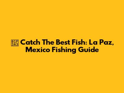 🎣 Catch The Best Fish: La Paz, Mexico Fishing Guide