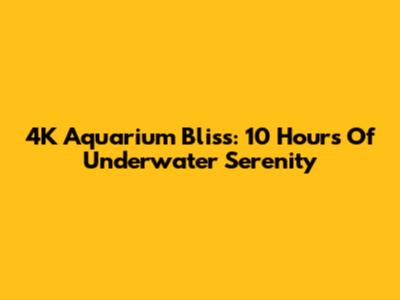 4K Aquarium Bliss: 10 Hours Of Underwater Serenity