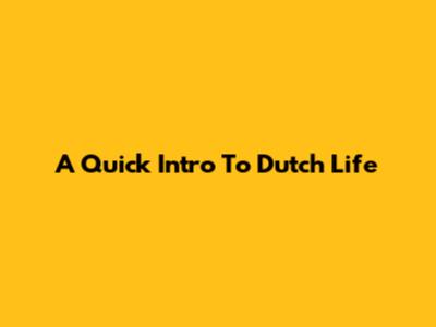 A Quick Intro To Dutch Life