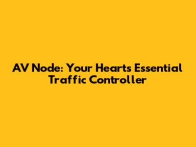 AV Node: Your Heart's Essential Traffic Controller