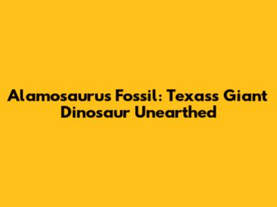Alamosaurus Fossil: Texas's Giant Dinosaur Unearthed