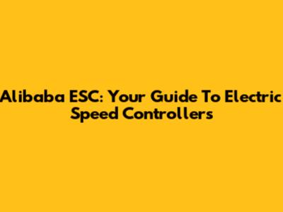 Alibaba ESC: Your Guide To Electric Speed Controllers