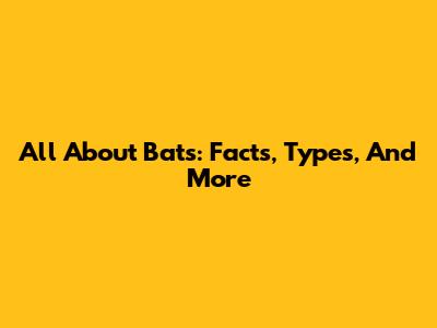 All About Bats: Facts, Types, And More