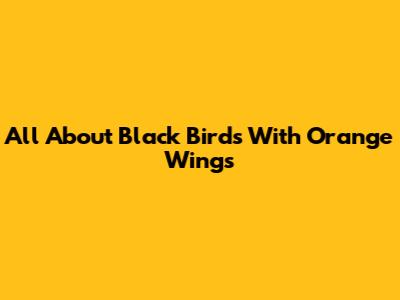 All About Black Birds With Orange Wings