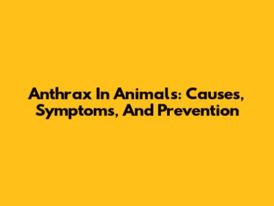 Anthrax In Animals: Causes, Symptoms, And Prevention