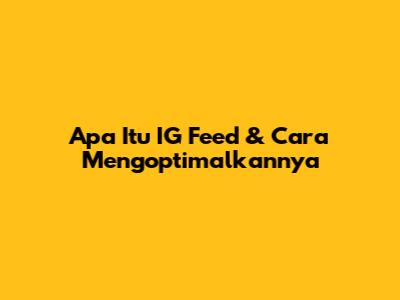 Apa Itu IG Feed & Cara Mengoptimalkannya