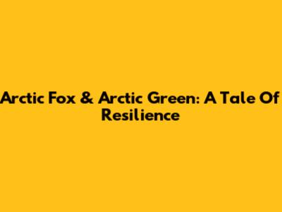 Arctic Fox & Arctic Green: A Tale Of Resilience