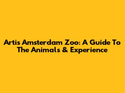 Artis Amsterdam Zoo: A Guide To The Animals & Experience