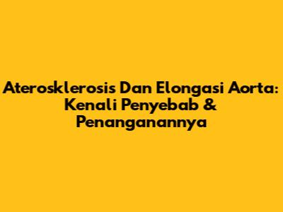 Aterosklerosis Dan Elongasi Aorta: Kenali Penyebab & Penanganannya
