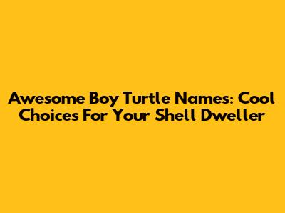 Awesome Boy Turtle Names: Cool Choices For Your Shell Dweller