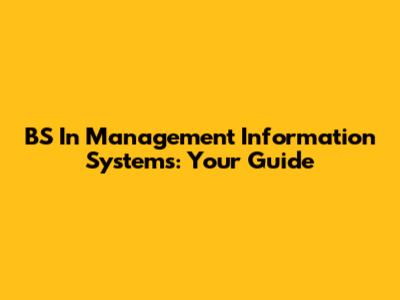 BS In Management Information Systems: Your Guide