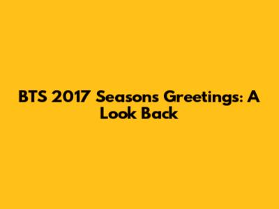 BTS 2017 Season's Greetings: A Look Back