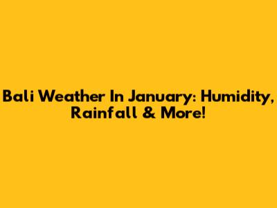 Bali Weather In January: Humidity, Rainfall & More!