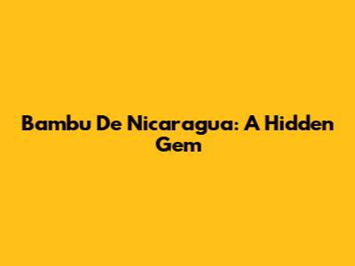 Bambu De Nicaragua: A Hidden Gem