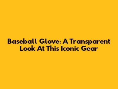 Baseball Glove: A Transparent Look At This Iconic Gear