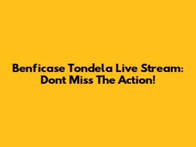Benficase Tondela Live Stream: Don't Miss The Action!
