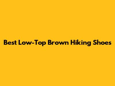 Best Low-Top Brown Hiking Shoes