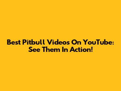 Best Pitbull Videos On YouTube: See Them In Action!