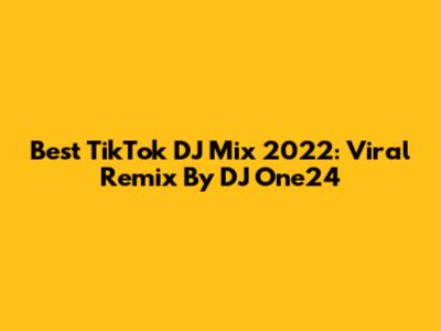 Best TikTok DJ Mix 2022: Viral Remix By DJ One24