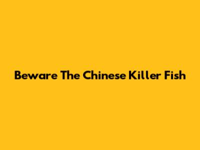 Beware The Chinese Killer Fish