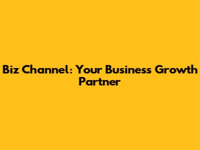 Biz Channel: Your Business Growth Partner