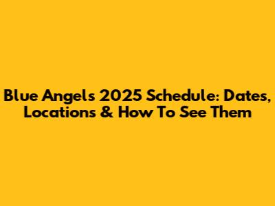 Blue Angels 2025 Schedule: Dates, Locations & How To See Them