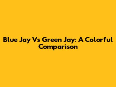 Blue Jay Vs Green Jay: A Colorful Comparison