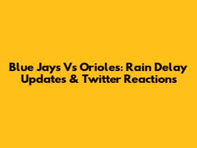 Blue Jays Vs Orioles: Rain Delay Updates & Twitter Reactions