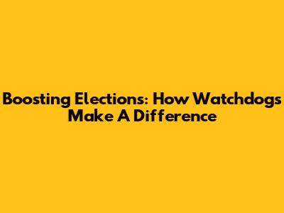 Boosting Elections: How Watchdogs Make A Difference