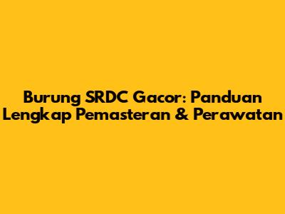 Burung SRDC Gacor: Panduan Lengkap Pemasteran & Perawatan