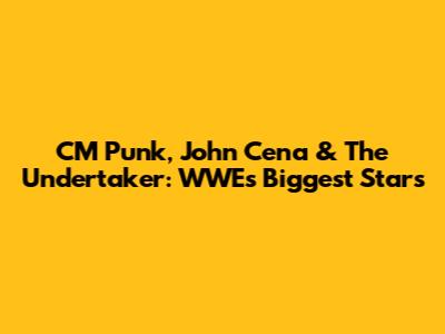 CM Punk, John Cena & The Undertaker: WWE's Biggest Stars