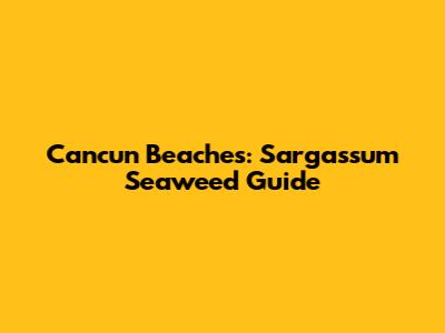 Cancun Beaches: Sargassum Seaweed Guide