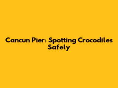 Cancun Pier: Spotting Crocodiles Safely
