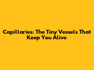 Capillaries: The Tiny Vessels That Keep You Alive