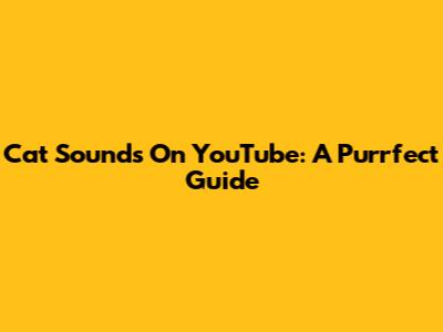 Cat Sounds On YouTube: A Purrfect Guide
