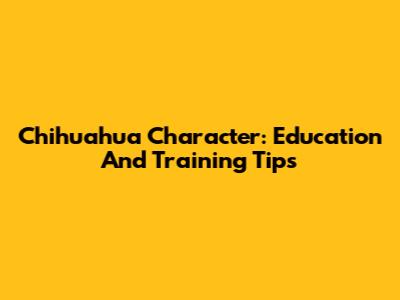 Chihuahua Character: Education And Training Tips