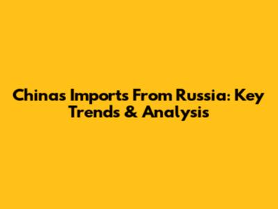 China's Imports From Russia: Key Trends & Analysis