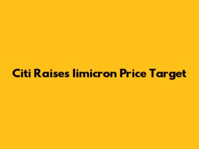 Citi Raises Iimicron Price Target