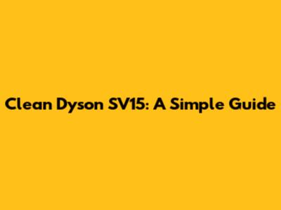 Clean Dyson SV15: A Simple Guide