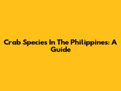 Crab Species In The Philippines: A Guide