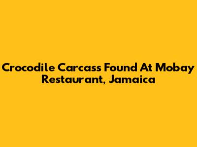 Crocodile Carcass Found At Mobay Restaurant, Jamaica