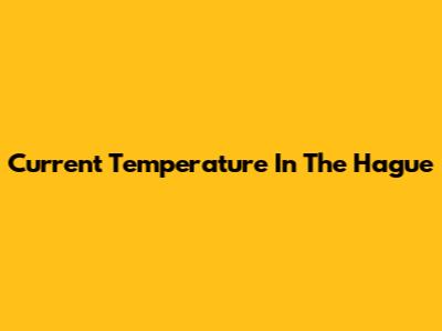 Current Temperature In The Hague