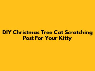 DIY Christmas Tree Cat Scratching Post For Your Kitty