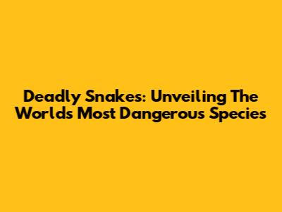 Deadly Snakes: Unveiling The World's Most Dangerous Species
