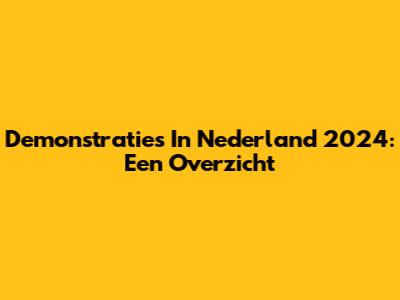Demonstraties In Nederland 2024: Een Overzicht