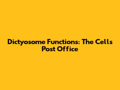 Dictyosome Functions: The Cell's Post Office
