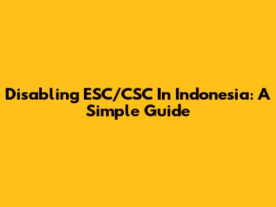 Disabling ESC/CSC In Indonesia: A Simple Guide