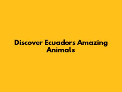 Discover Ecuador's Amazing Animals