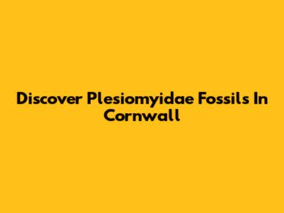 Discover Plesiomyidae Fossils In Cornwall